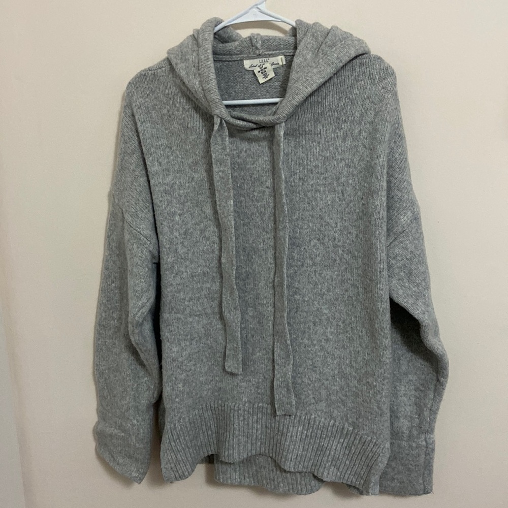 Thick hooded sweater. Brand: label of graded goods. Small.